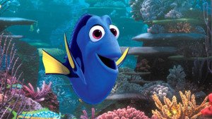 dory