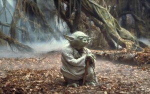 masteryoda