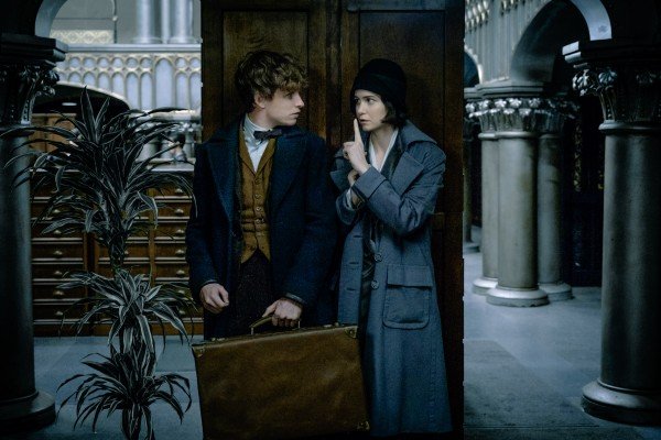 fantastic-beasts-redmayne-waterston-600x400